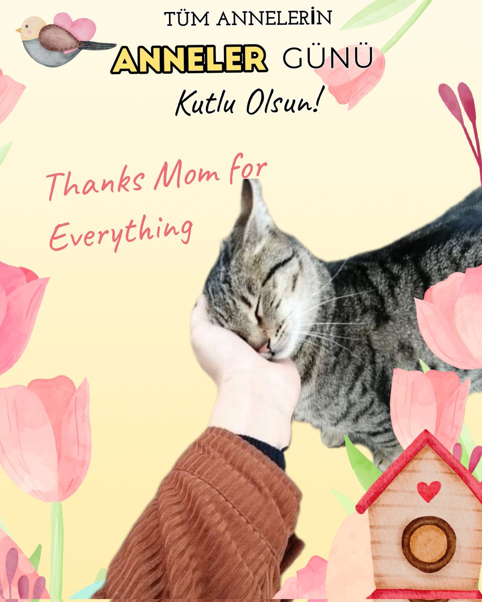 ❣️🫶❣️
#MothersDay
#AnnelerGünüKutluOlsun