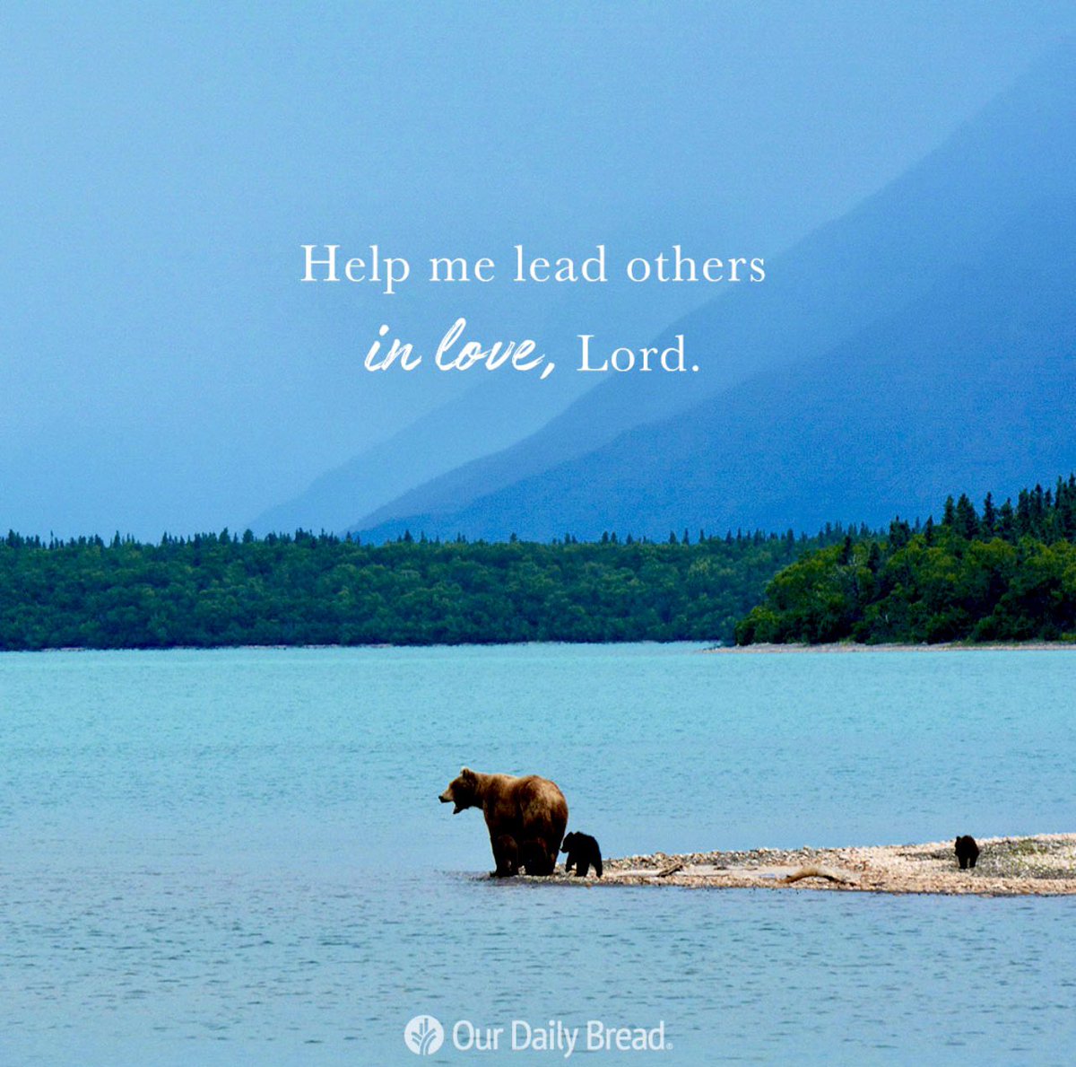 masterchef1968's tweet photo. #Heavenly #Father, #help me to #extend to #others the #loving #care You #graciously #show to #me. In #Jesus #blessed #name I #pray, #amen.

https://t.co/hHF6RBzXJ8 https://t.co/l5vCp2aUJM