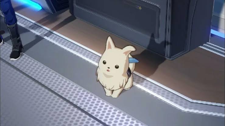 ℙ𝔼ℙℙ𝕐 tweet media
