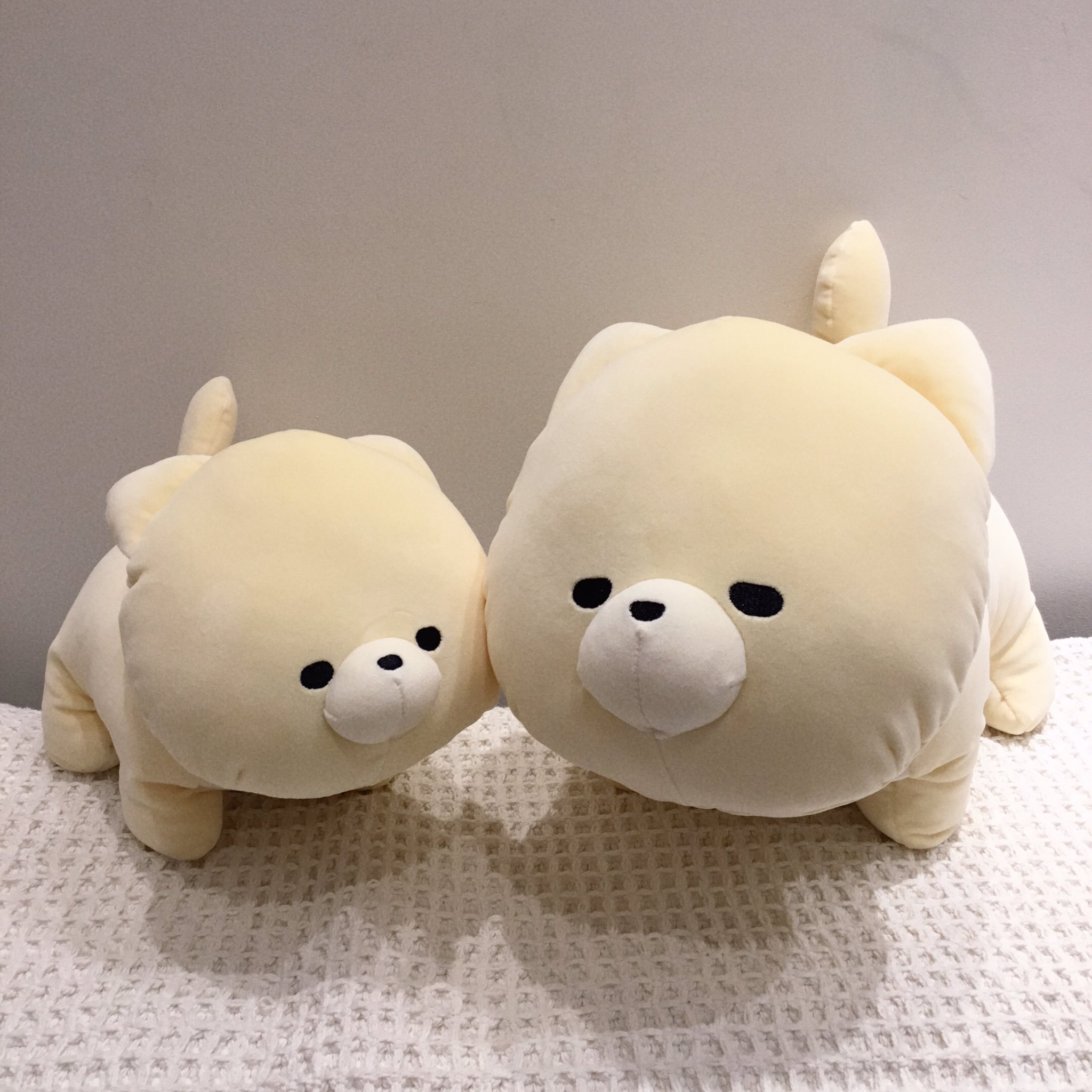 つくってモフモフレンズ ほんわかアニマルカラー mxn26g8 つくって モフモフレンズ ほんわかアニマルカラー｜商品情報