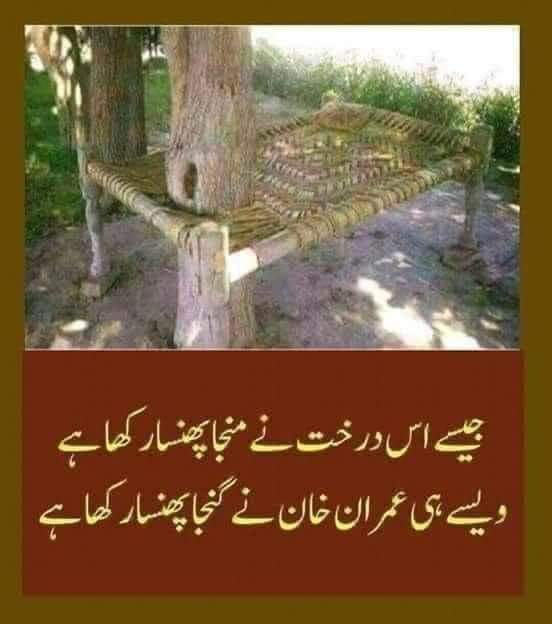 #PTI_Followers
Admin list
@Zia4O
@TabiCh_DxB
<a href="/Pti_027/">✫𝄟≛⃝🦋Môñå ≛⃝🦋𝄟✫</a>
<a href="/SadiaSa55/">Sadia Saeed</a>
@sh5_72
@ptiikk
<a href="/AminChaudhry12/">Amin Chaudhry</a>
<a href="/adl883/">adil zahoor</a>
@Sufiiibhai
<a href="/Asif22445/">ASIF🦜💓🦜 ANSARI</a>
<a href="/rana_g12/">Shabbir Hussain</a>
@Ned_U1
@Rza5O
<a href="/9Glnz/">🧚🏻‍♀️Gulnaz🧚🏻‍♀️</a>
<a href="/Sar7858/">Sarfraz Ahmad</a> 
<a href="/Sar_7858/">Sarfraz Ahmad</a>
<a href="/D3G39/">Dིeིcིeིnིtི Gིuིjིjིaིrི</a>
<a href="/A_jk92/">Ali Jan'K</a>
<a href="/4_4mir/">Aamir Hayat Awan</a>
@KPKA93
@Malikabih
<a href="/shayezakhan/">꧁༺🌹 shayeza khan🌹༻꧂ DM🚫</a>
<a href="/IamBKJ/">𝘄ι¢кє∂ 𝘄ιик🥂</a>
<a href="/Zia1O/">ℤ𝕚𝕒 ℂ𝕙𝕒𝕦𝕕𝕙𝕒𝕣𝕪</a>