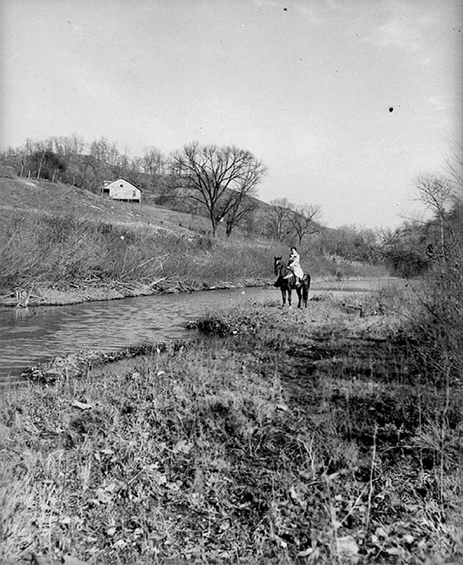 LRonLacy's tweet photo. The W.P.A.’s Pack Horse Library initiative sent librarians deep into Appalachia distributing reading material to the people who lived in a rugged, 10,000-square-mile area of eastern Kentucky.
@LivingNewDeal
#GreatDepression #TheNewDeal #WPA #libraries #PackHorseLibrary https://t.co/uiaEcEdTGN