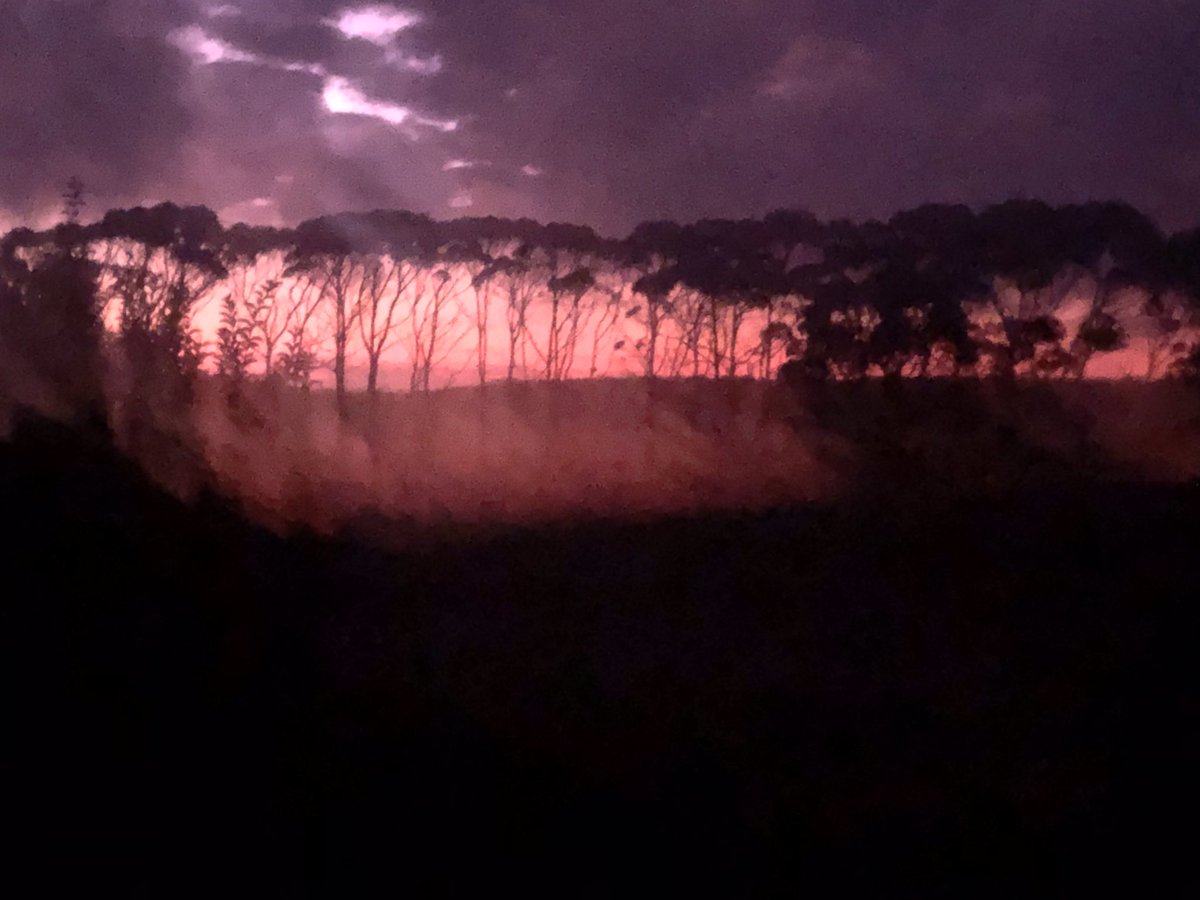 911_callthecops's tweet image. #MotherNature putting on a show tonight. Mist starting to settle on a #ProHeart like vista.