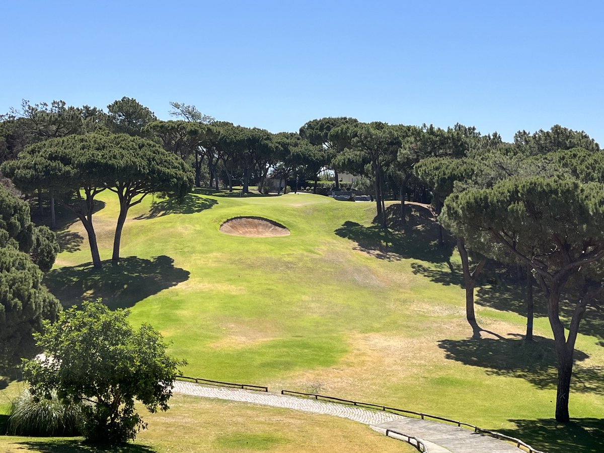 Andy Cook tweet media