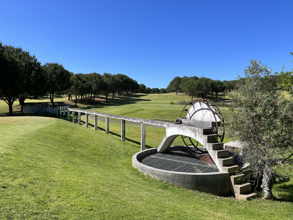 Andy Cook tweet media