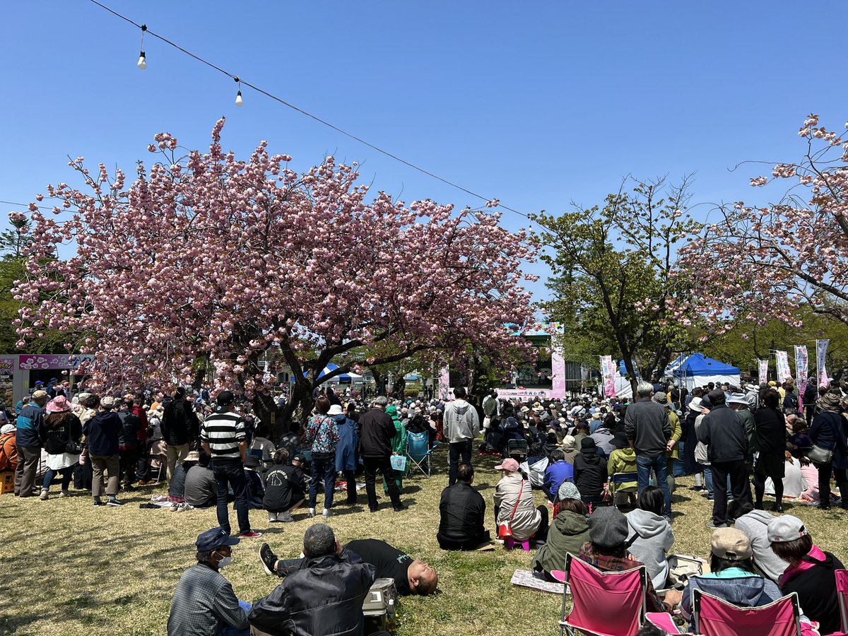 16日間のもりまち桜まつりが終了しました！
関係者の皆様、ご来場の皆様へ心より感謝を込め、来年度は今年度の反省点を活かし、より良い桜まつりにしたいと思います🌸ありがとうございました😊