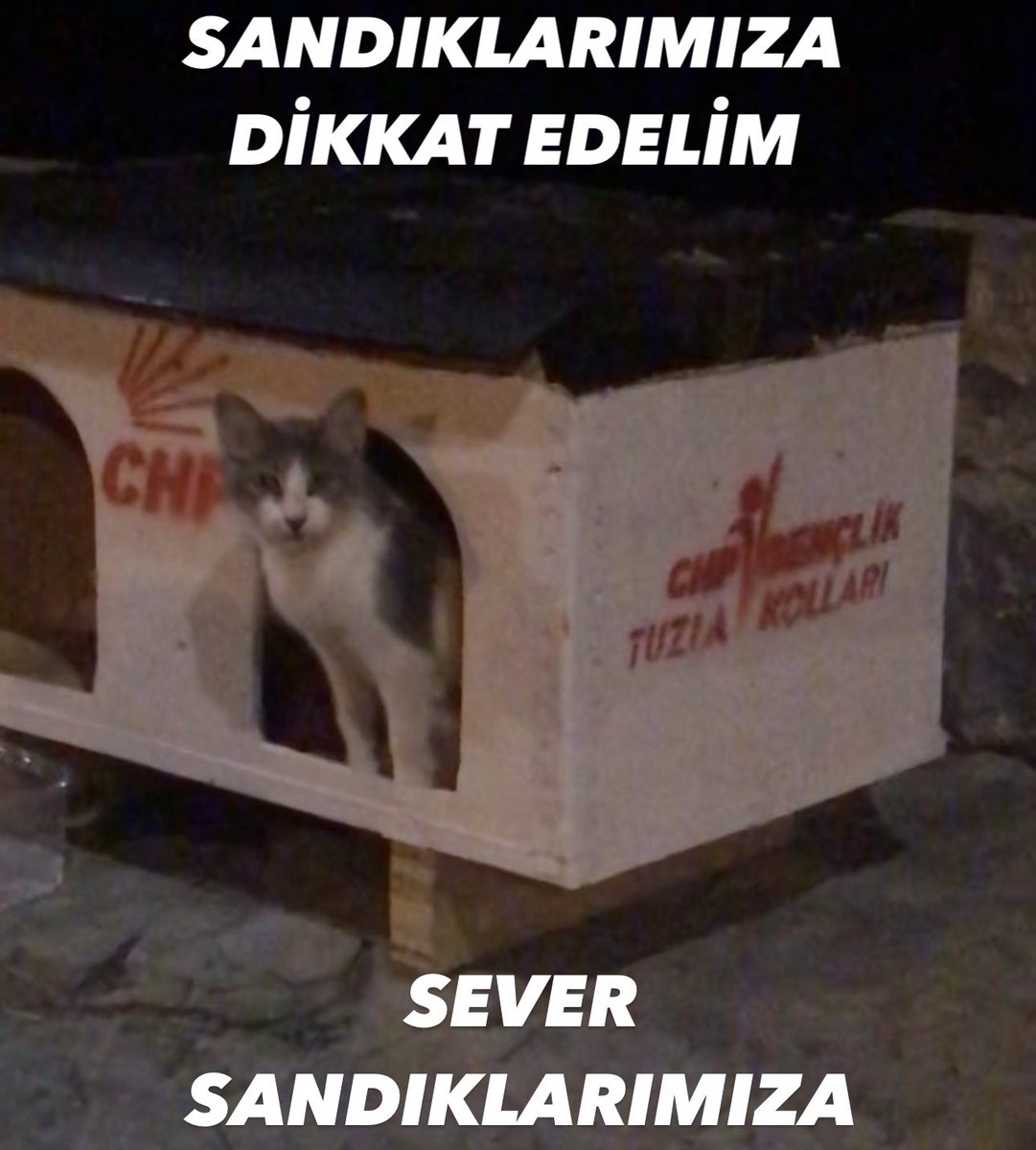 Hayberk (@hiyberk) on Twitter photo 