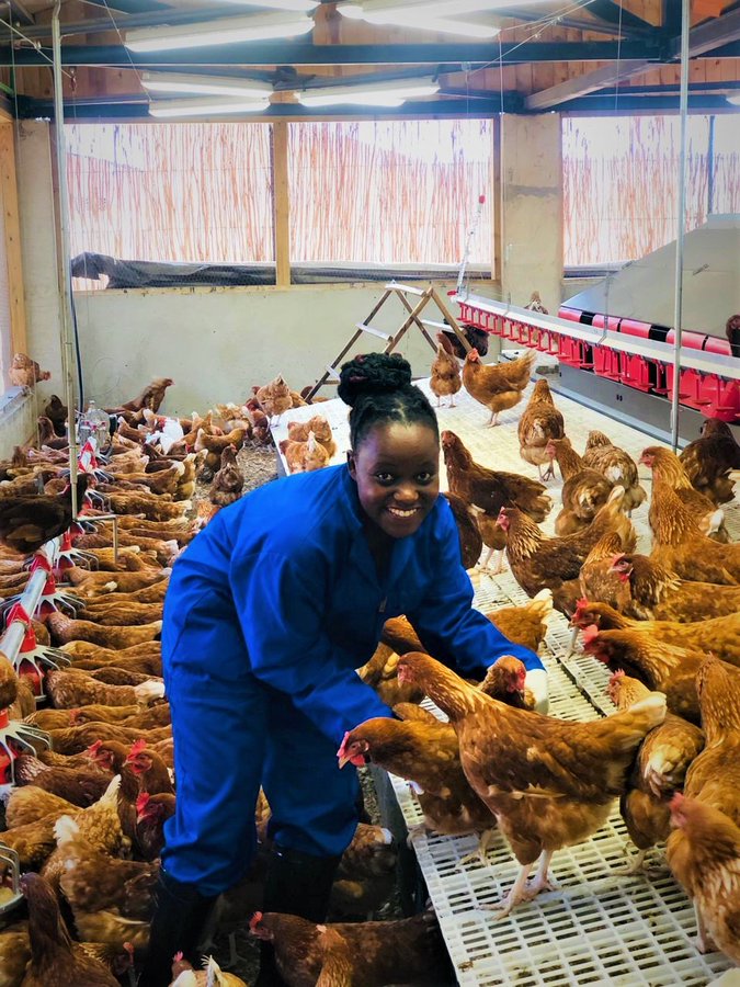 If you are interested in poultry farming, please like and retweet.