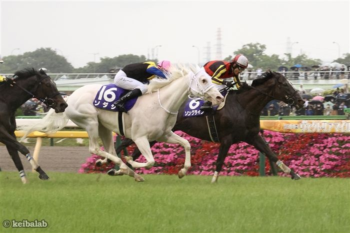 競馬ラボ on Twitter 