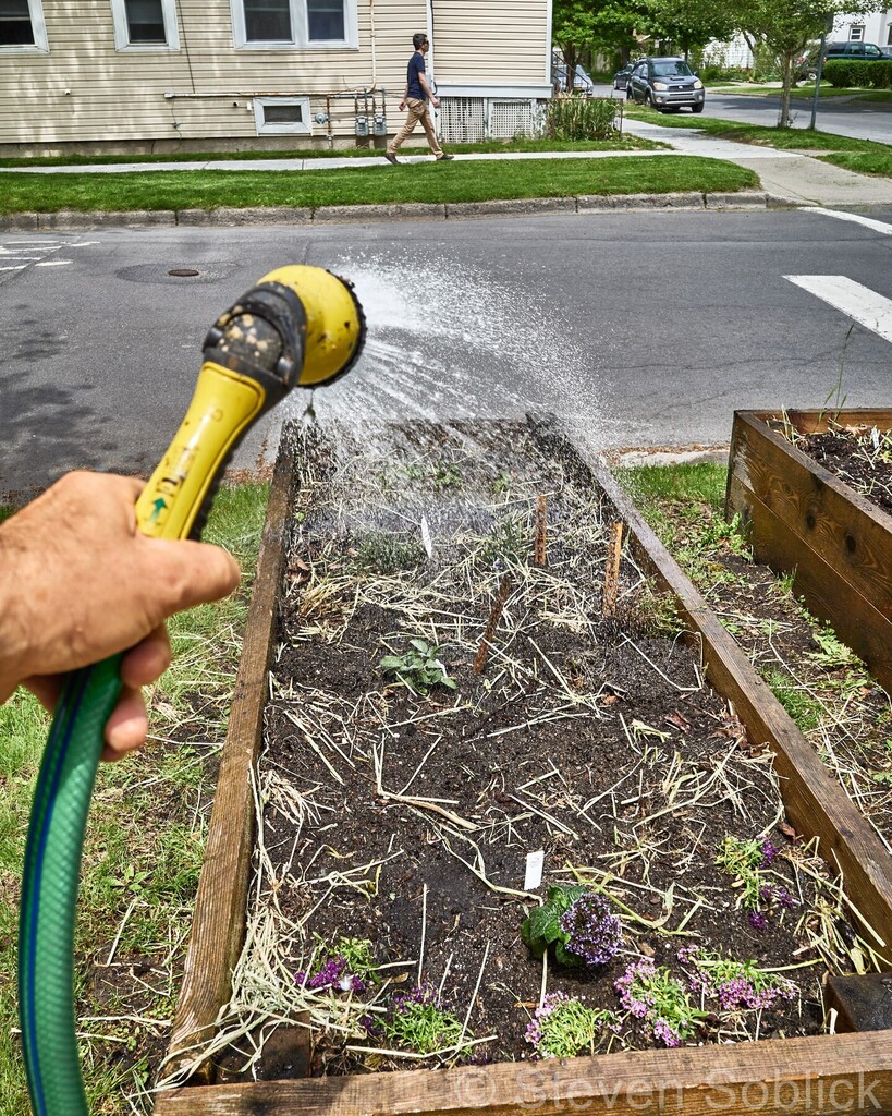StevenSoblick's tweet photo. Gardening #garden #watering #vegetables #veggies #flowers 
#spring https://t.co/Xh0KUZCVLz https://t.co/AuszdljKTh