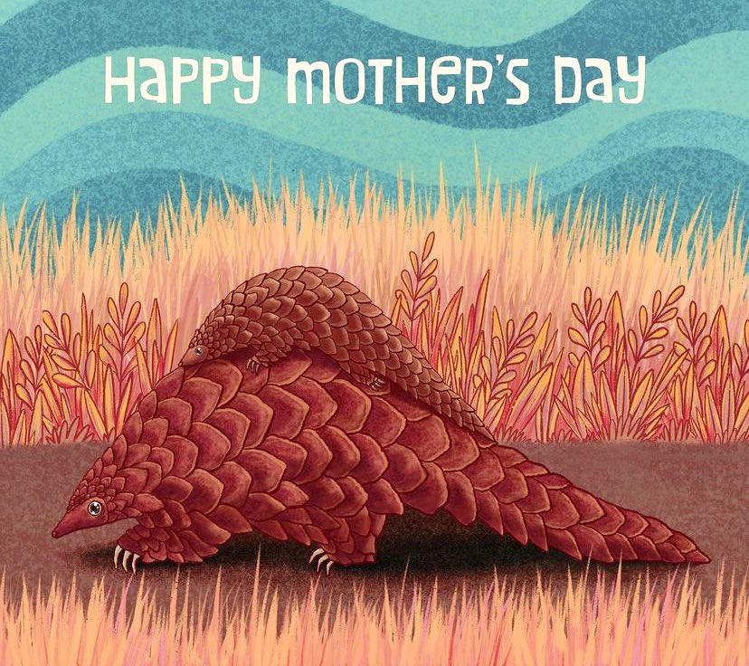 Happy Mothers Day 🖤
Did you know mama pangolins carry her newborn on their tail when they go on one of their adventures.
@Procreate @PangolinSG @SavePangolins 
.
#pangolin #MotherDay #HappyMotherDay2023 #wildlife #procreateart #procreate #digitalart #illustraion #wildlifeartist