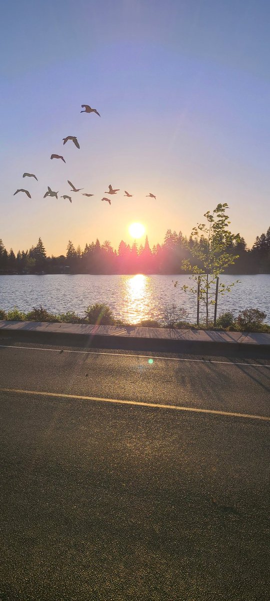SaraHalvarson's tweet photo. #laketapps #sunrise #walking #pnw https://t.co/266rG7Soye