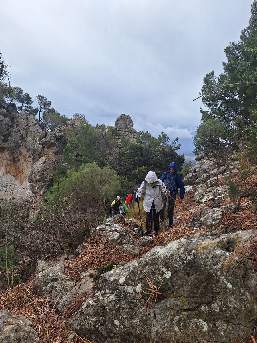 El Grup Excursionista de Mallorca va visitar ahir dissabte 13 de maig el jaciment tardorromà de #saBastida. El GEM (gemweb.org) compleix enguany mig segle de vida i els seus socis s'han interessat pels plans de futur i per les activitats que desenvolupa Al Rum.