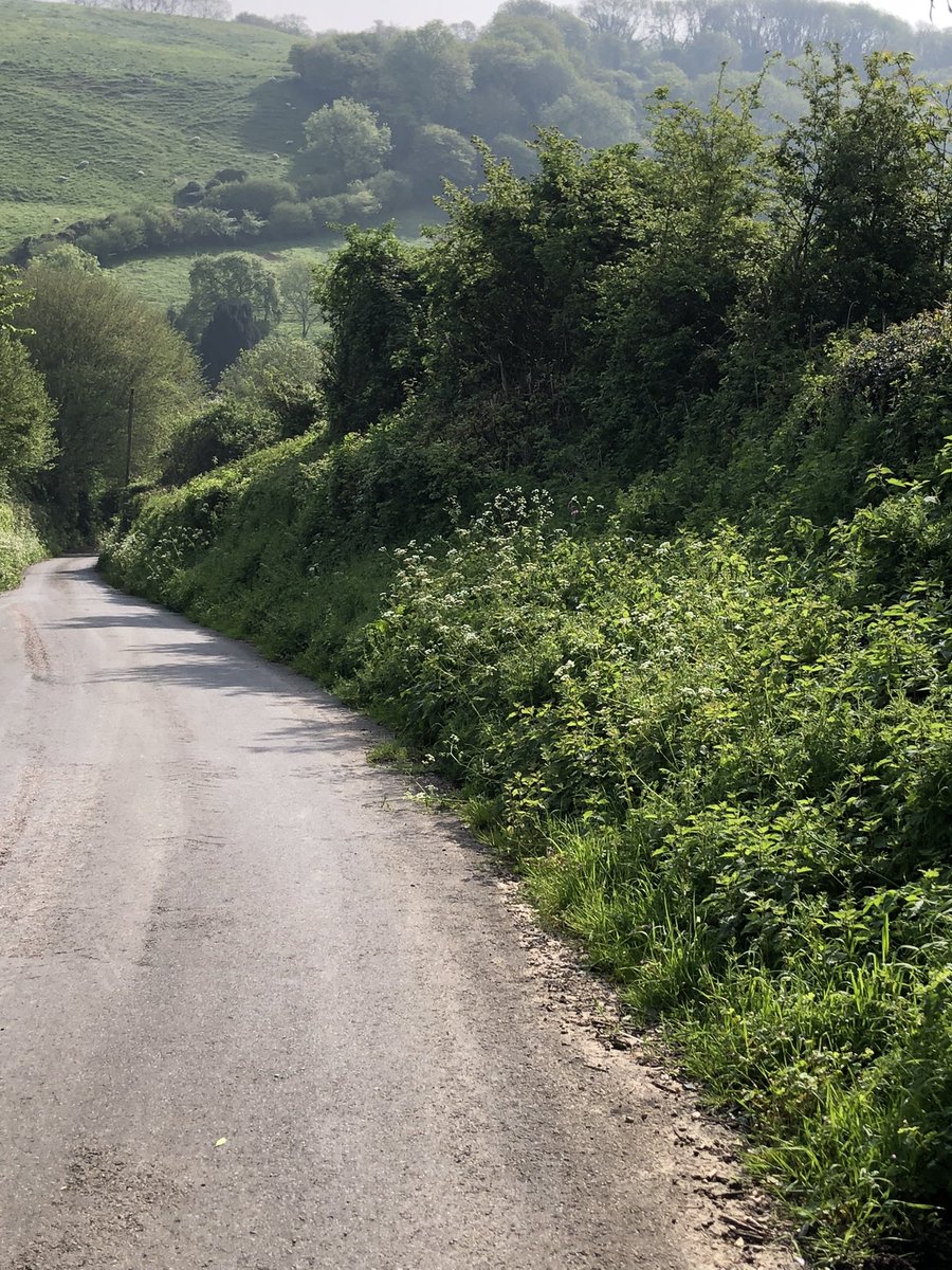 Scrimgeour_l's tweet photo. Nice little 7 mile run to Branscombe beach this more . Lovely 3.5 miles down which only meant one thing .. the same backup ๐ฅต๐โโ๏ธ๐ช๐ป๐๐โโ๏ธvideo of Deer running through field . @UKRunChat @TheRunningEduc1 @RunThroughUK @BlindGirlVlogs #HappySunday #summerfinallyhere https://t.co/skSP3mrGTn