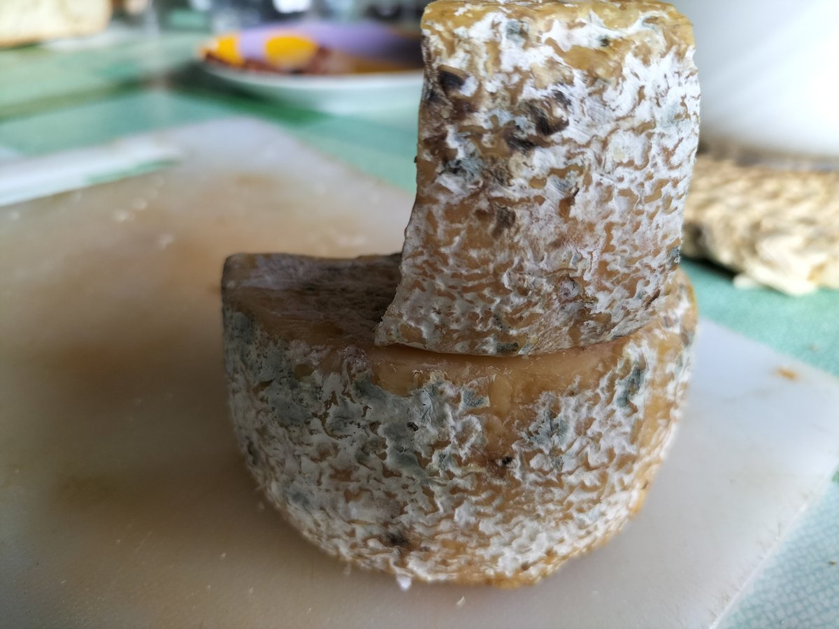 CarlosPandeken's tweet photo. #Beyos el mejor queso del mundo. https://t.co/CRlcjpd4Ws