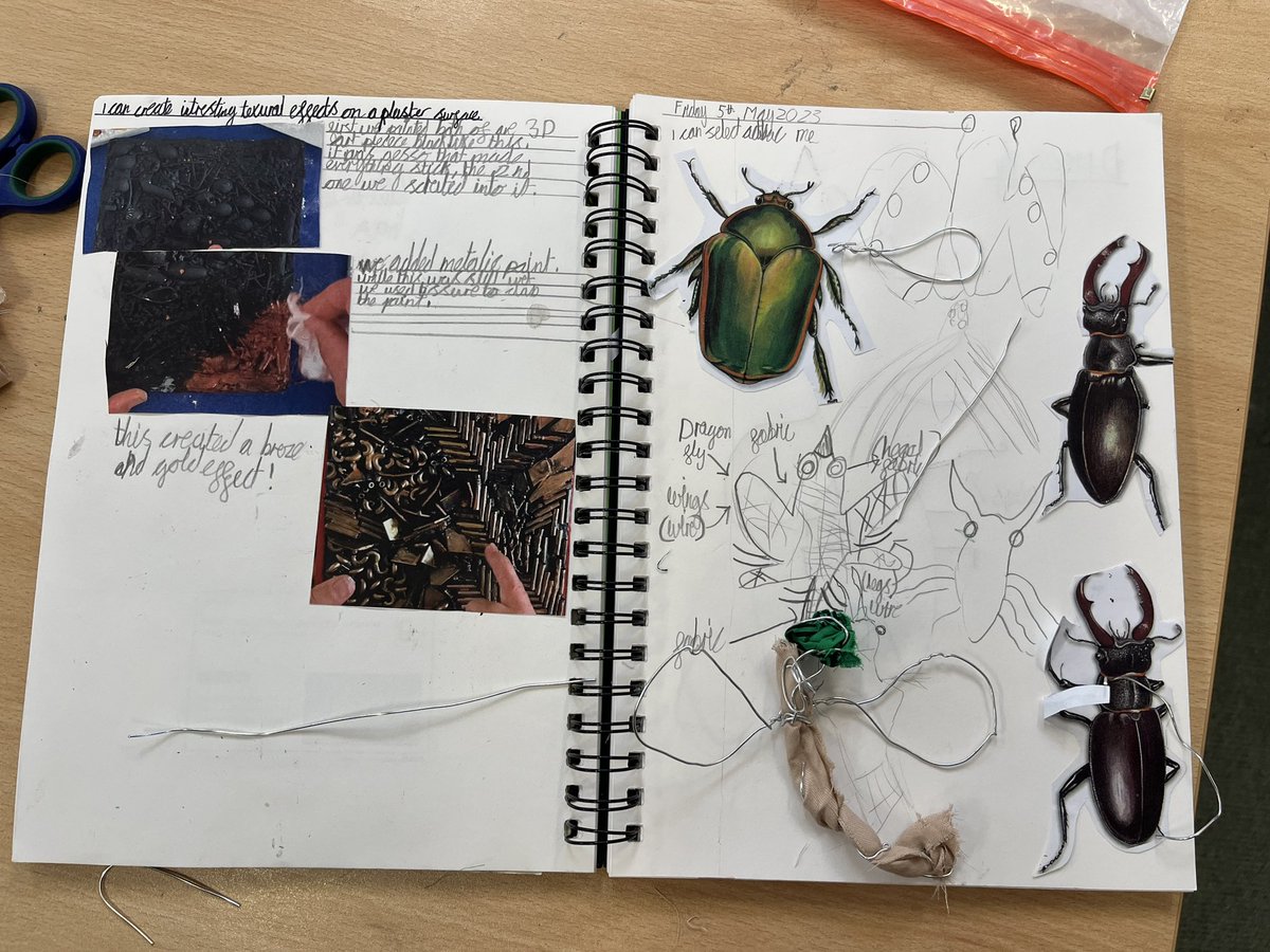 EBprimarysch's tweet image. Fabulous 3D insects! Year 3 installed these in their natural habitat in the school garden before display in school @Curriculum_USP @jane_janieryder