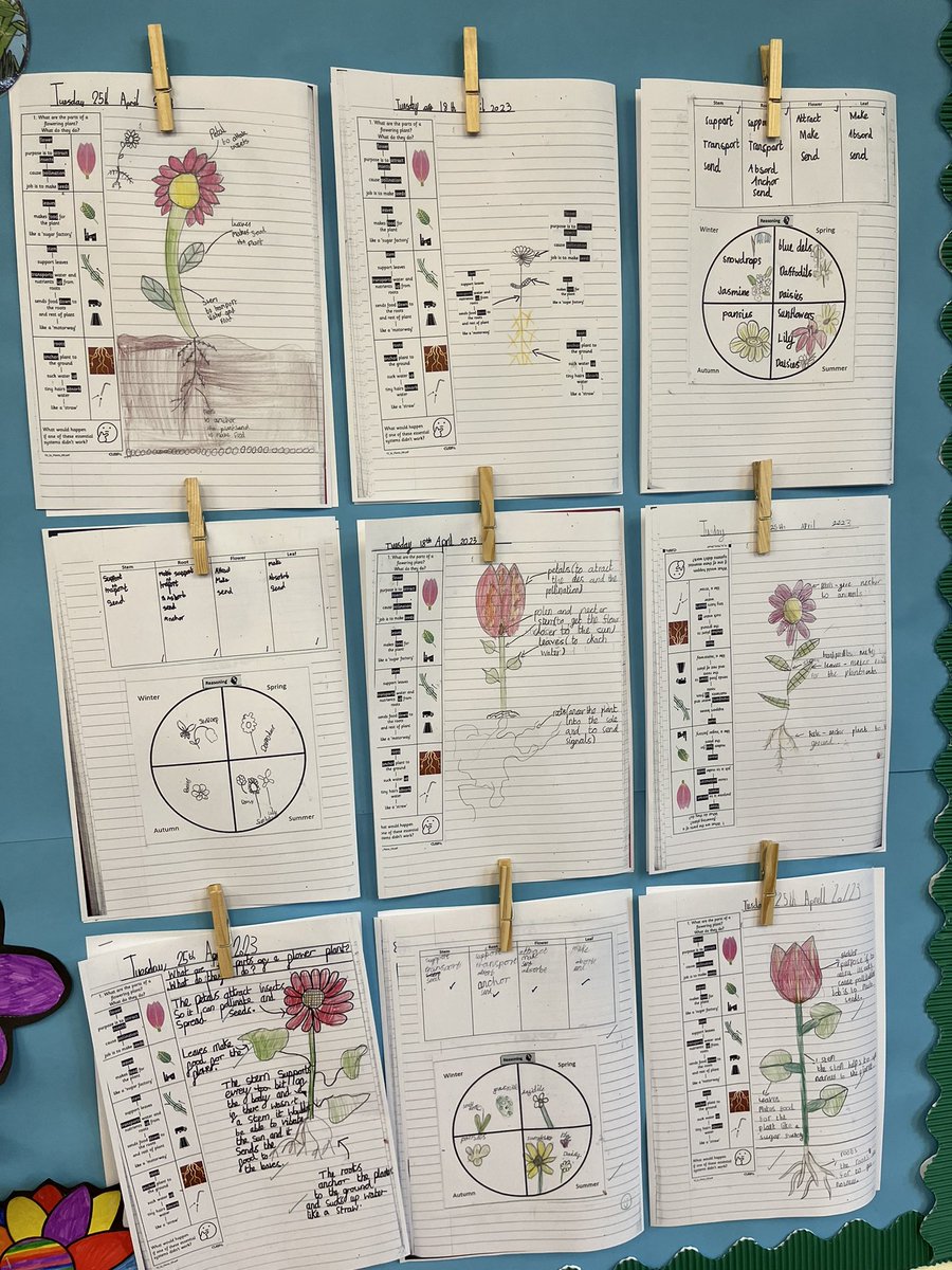 EBprimarysch's tweet image. Science in year 3 ! We love CUSP @Curriculum_USP @Edu_Meadows @baronbedford