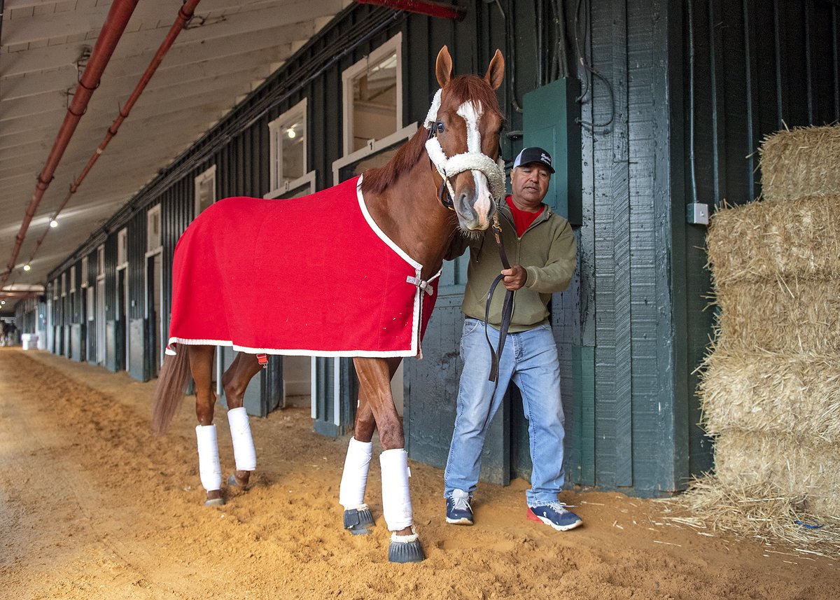 Preakness Stakes tweet media