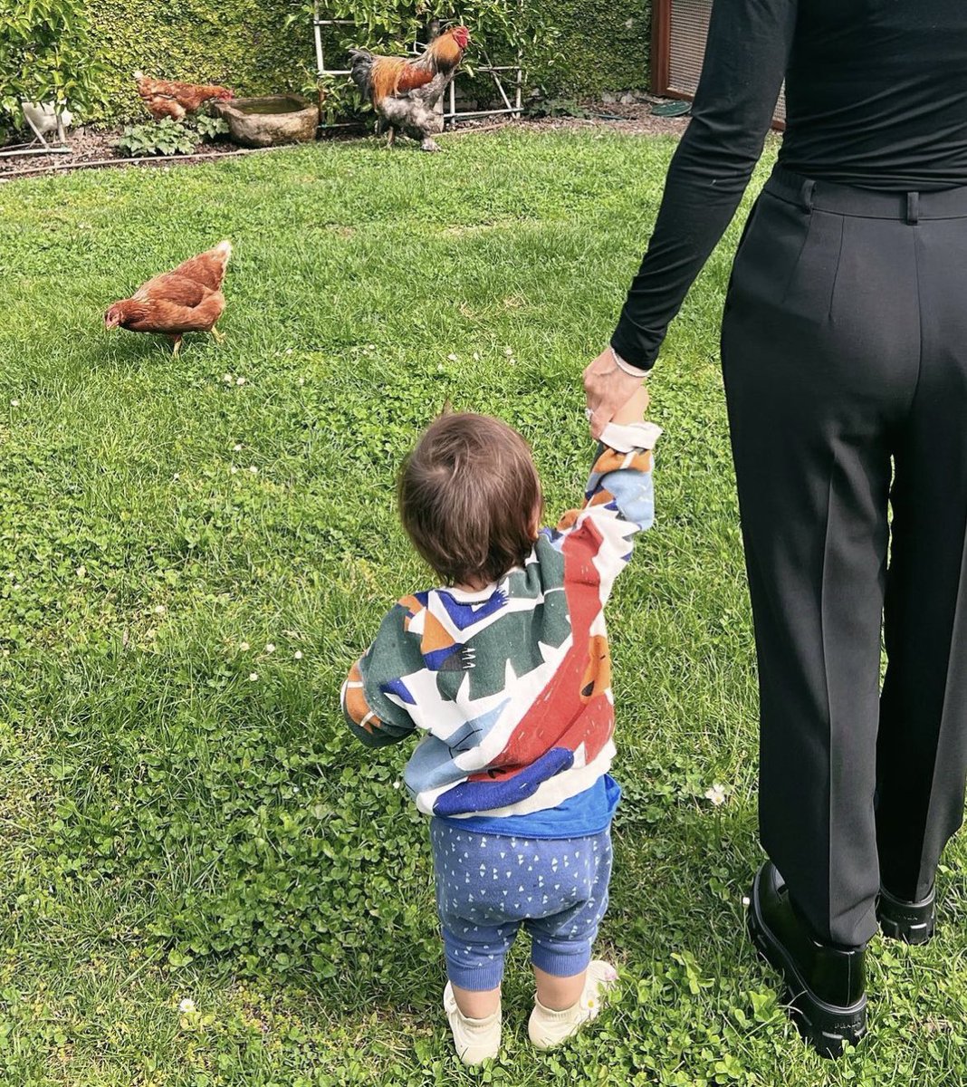 riley loves bear ★ tweet media