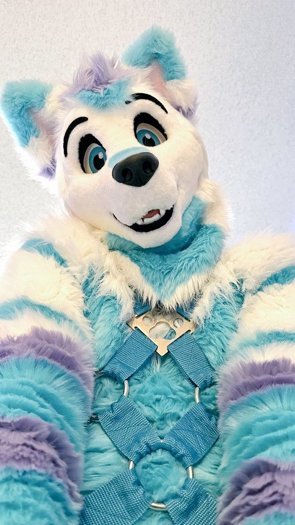 Arf! Would you tug on my harness? 🥺