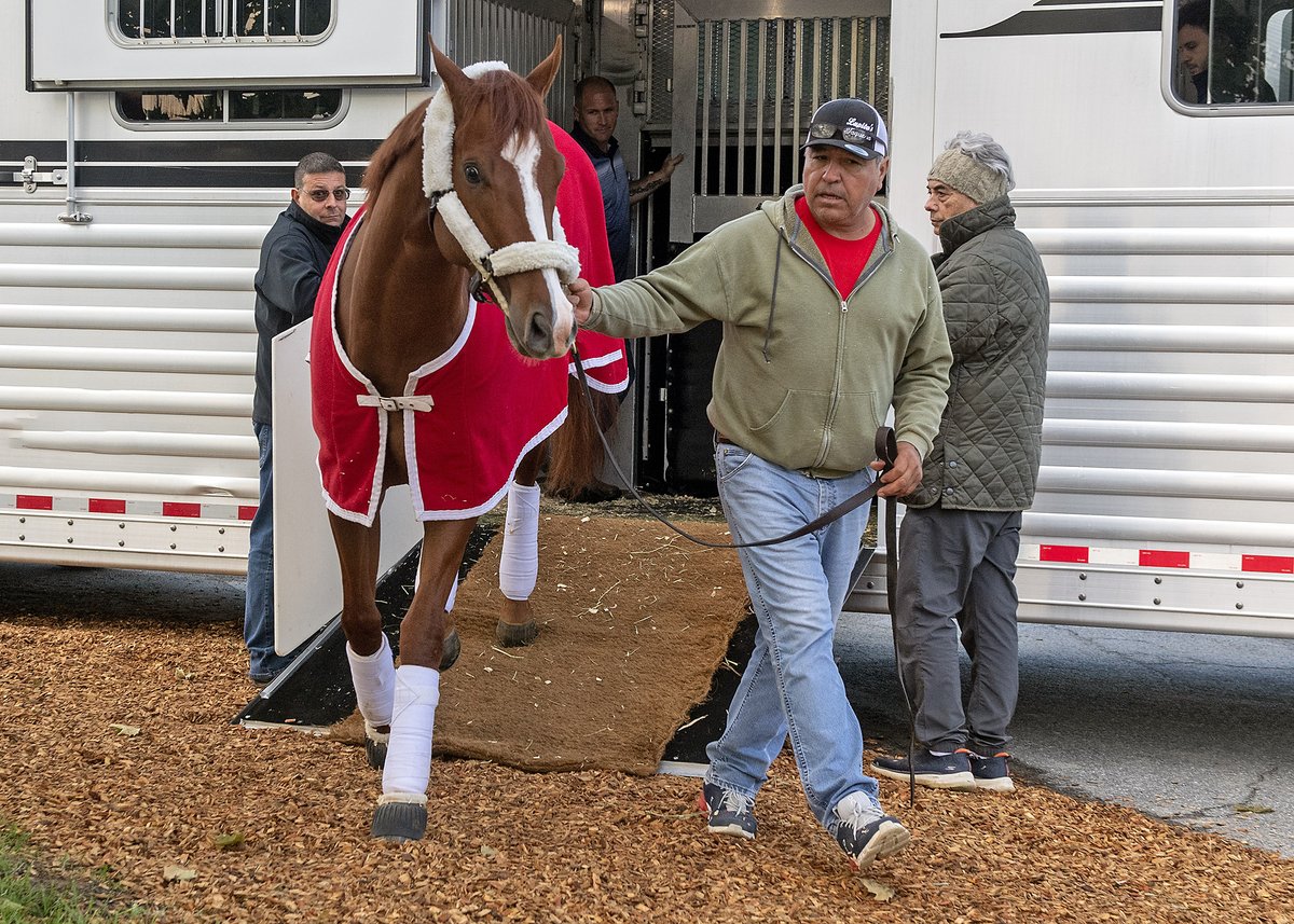 Preakness Stakes tweet media