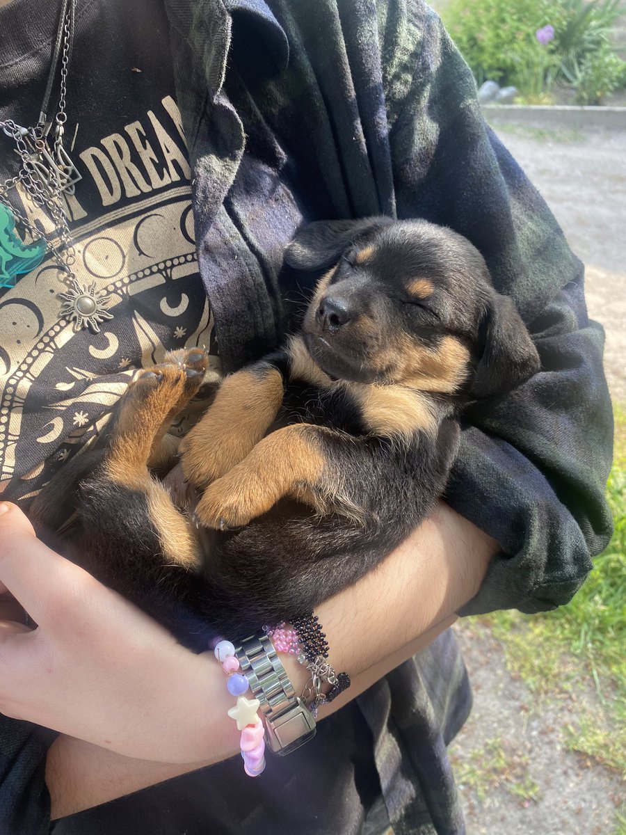 моя нова любов це пан блоха <a href="/serpokryles/">•серпокрил•</a> 😩🤲💗💗💗💗