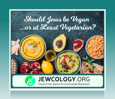 Aytzim's tweet photo. Richard Schwartz explains the important connection between Judaism and plant-based diets.  https://t.co/wCRgqVsJyn @Aytzim   @EcoJewsOfTheBay   @ecodave   @RichardSchwart3 https://t.co/30MhLdYJPu

  — Jewcology (@jewcology)
  May 14, 2023