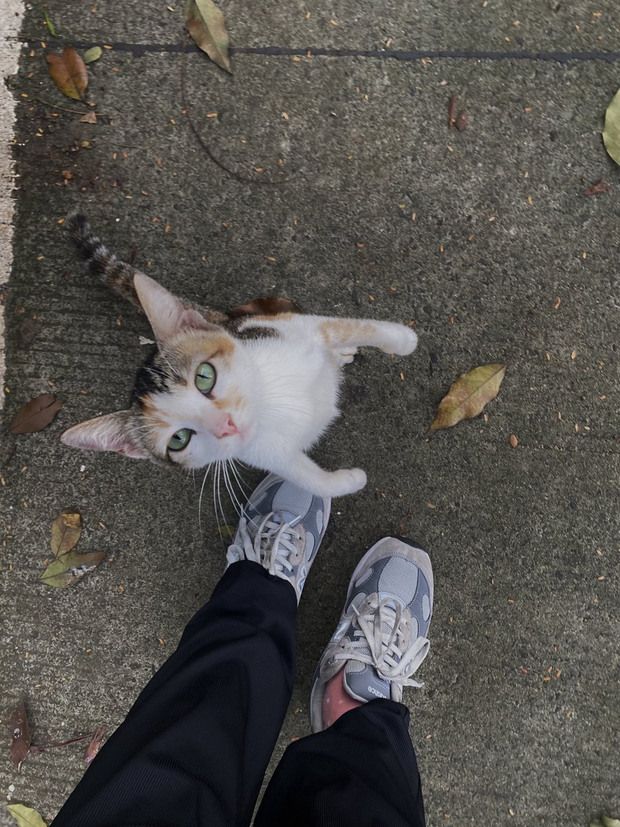 emilooy's tweet photo. Rutinitas fav akhir akhir ini 🏃🏻‍♀️🏃🏻‍♀️
Bener aja kata si icha, kalo udah kebiasaan lari, berenti sebentar aja badan pada sakit 😩 https://t.co/8UIk42xm3g