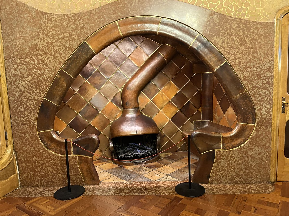 diana_dulces's tweet image. Fantastic Fungi 🍄