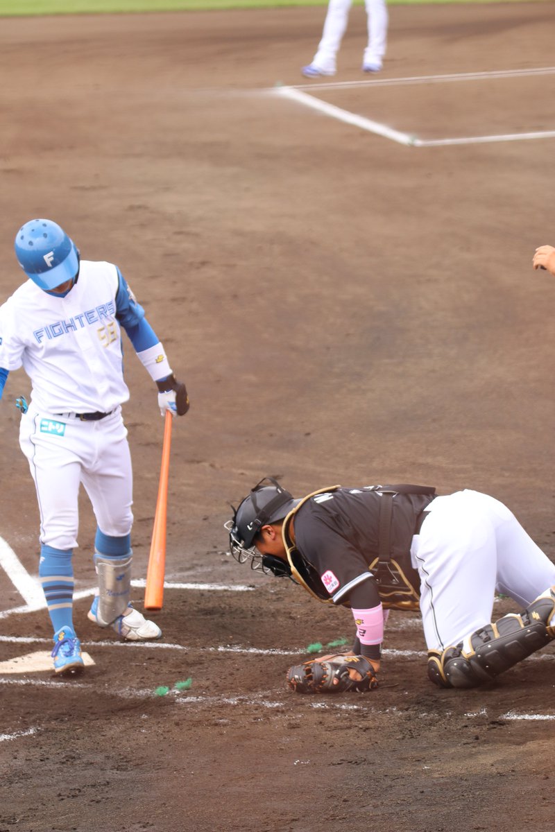 chi_j3's tweet photo. 痛そうだったけど堪えた松川くん。奈良間くんも心配してた
#奈良間大己 #lovefighters #松川虎生 #chibalotte 
2023.05.14@鎌ヶ谷スタジアム https://t.co/6ldlfgrY2m
