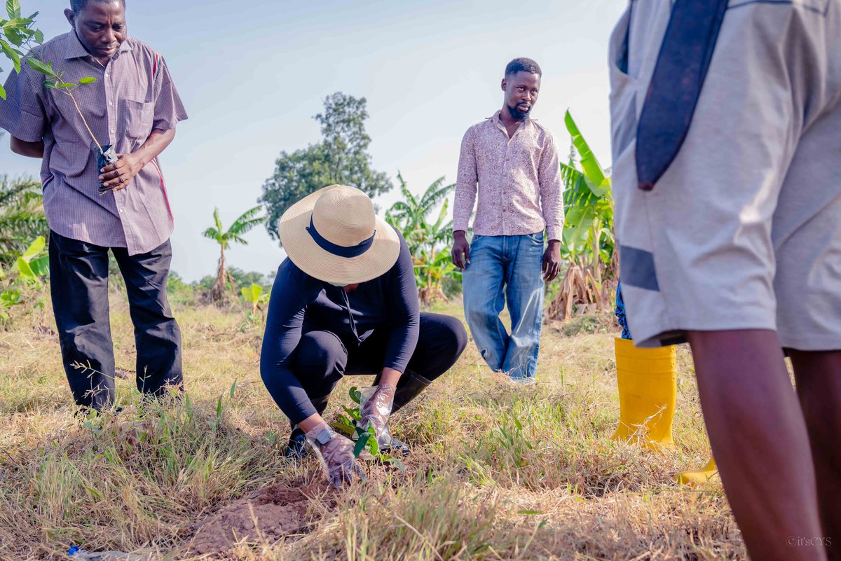 tau_university's tweet photo. TAU 2nd Year Anniversary commences with Flag off of 10,000 tree planting exercise.
Visit for more details: https://t.co/xpNJ75OORe
#TAUAnniversary #TreePlantingEvent #SustainabilityMatters #AcademicExcellence #ThomasAdewumiUniversity https://t.co/5fOApvunjd