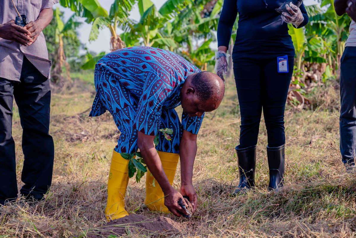 tau_university's tweet photo. TAU 2nd Year Anniversary commences with Flag off of 10,000 tree planting exercise.
Visit for more details: https://t.co/xpNJ75OORe
#TAUAnniversary #TreePlantingEvent #SustainabilityMatters #AcademicExcellence #ThomasAdewumiUniversity https://t.co/5fOApvunjd