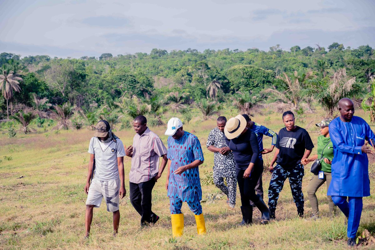 tau_university's tweet photo. TAU 2nd Year Anniversary commences with Flag off of 10,000 tree planting exercise.
Visit for more details: https://t.co/xpNJ75OORe
#TAUAnniversary #TreePlantingEvent #SustainabilityMatters #AcademicExcellence #ThomasAdewumiUniversity https://t.co/5fOApvunjd