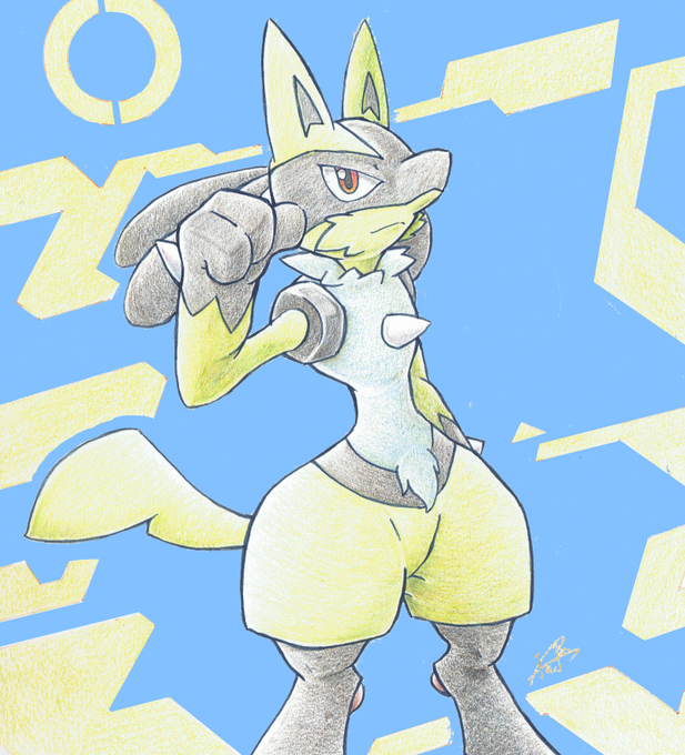 「lucario」Fan Art(Latest)｜4pages