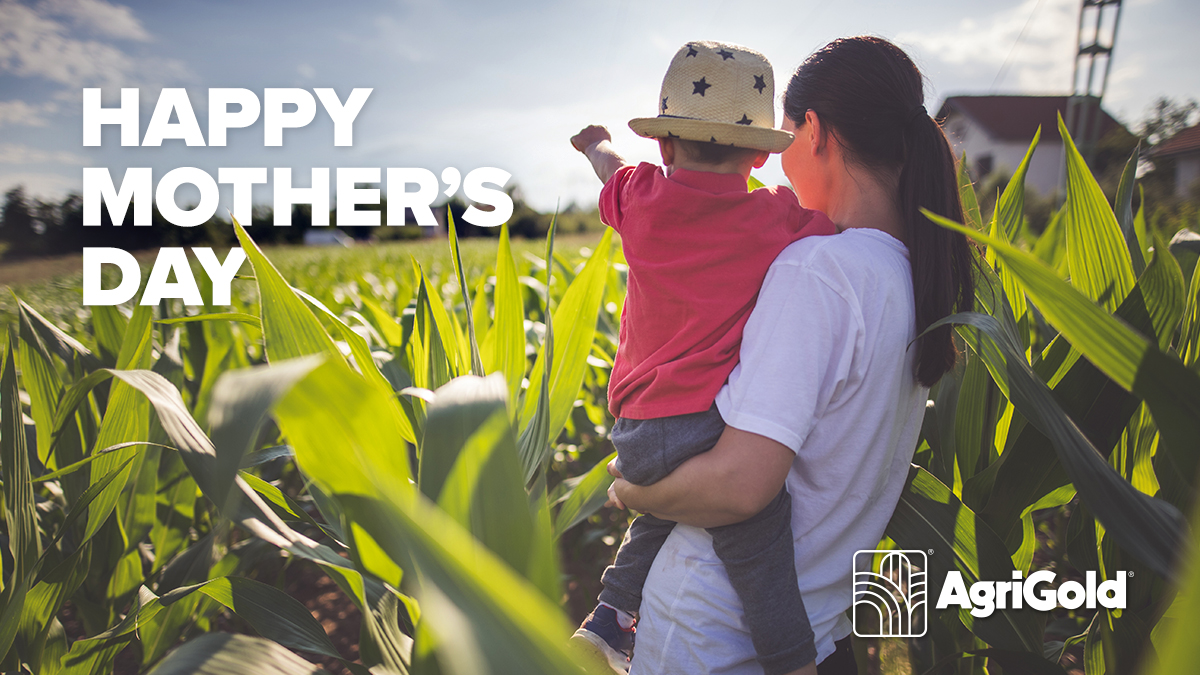 Happy Mother's Day to all the amazing #AgriGoldMoms!🌸👩‍🌾 Today, we celebrate the women who do it all, from farming to planning and wrangling everything in between. Thank you for keeping everything running smoothly and supporting your families and farms. You are appreciated! 💕