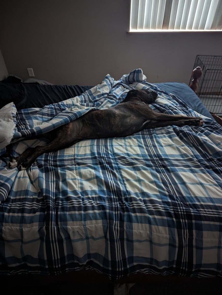 VolunShade's tweet photo. @Lil_Lexi Took this to show my friends what I deal with when trying to sleep... https://t.co/1TkRhSk6um