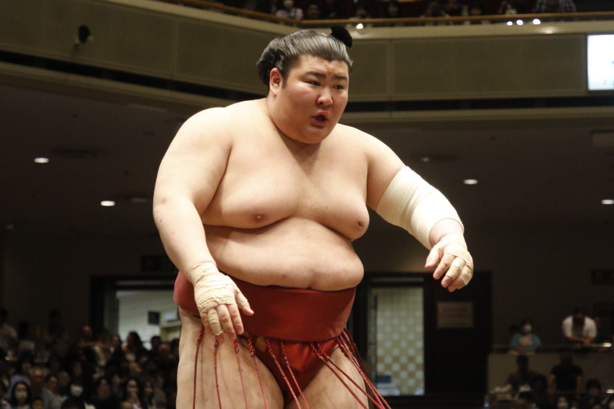 オレンジ　白　力士　相撲　チューリップ　浴衣　反物 大相撲 朝乃山 浴衣反物（: 力士に 朝乃山浴衣反物富山県花