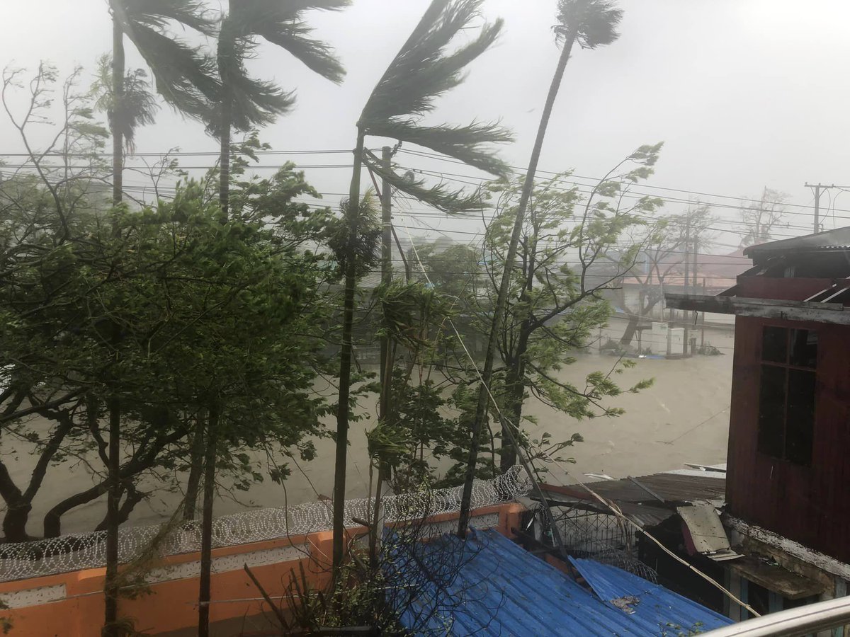 Dr. Sasa tweet media