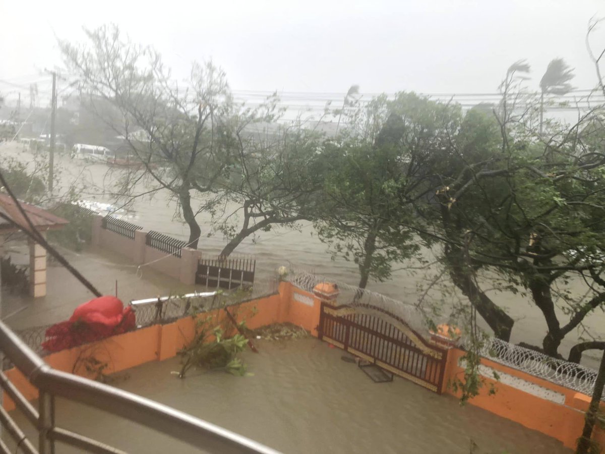 Dr. Sasa tweet media