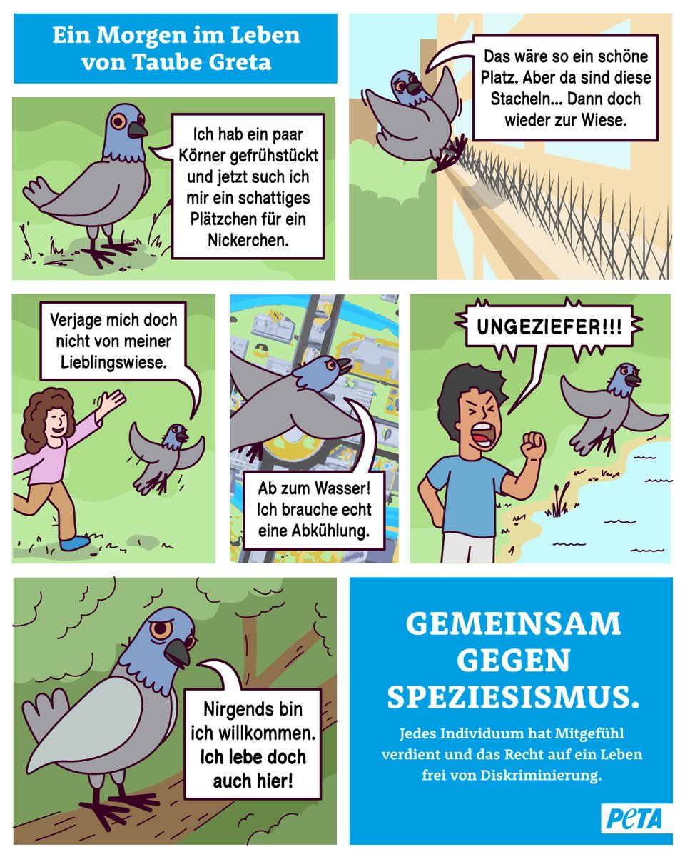 Wie würdet ihr euch an Gretas Stelle fühlen? 💔
Tauben werden von vielen Menschen als „Ungeziefer” angesehen und oft verjagt. Dabei sind sie doch nur auf der Suche nach Nahrung und einem Zuhause.

Bitte zeigt Mitgefühl! 🙏
Weitere Infos: PETA.de/themen/stadtta…