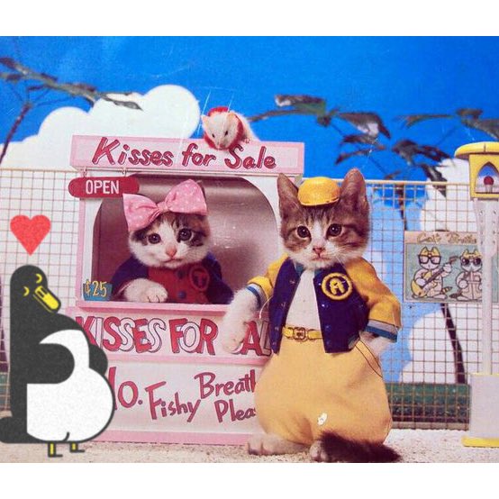 Stukuls's tweet photo. Smooches! Wait no fish breath?!
#smooches #kiss #kissing #kissingbooth #cats #catsofinstagram #love #ilovepenguins #sardines #XXO #lipslikesugar #lips #fair #kittens #japan #fishy #fishbreath #cat #penguin #penguins #企鵝 #펭귄 #ペンギン #pingüino https://t.co/VQZHetsQt3