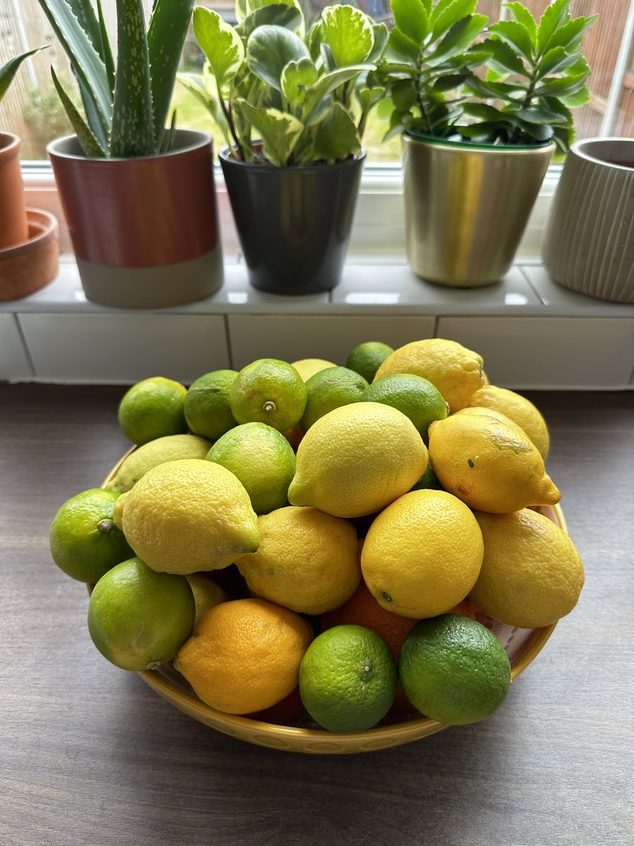 Zoë Paramour tweet media