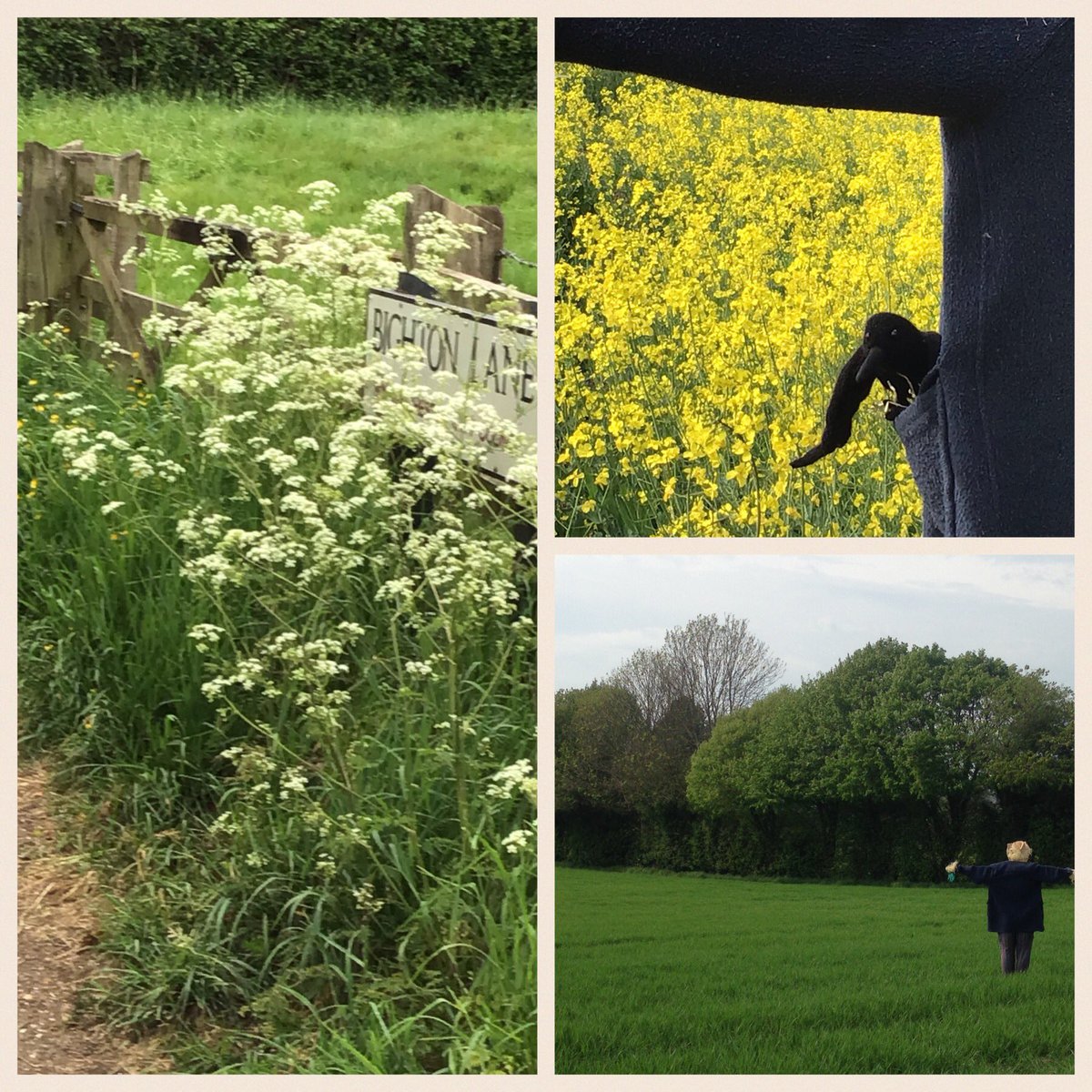 Attention2place's tweet photo. #DistanceDrift beating the bounds with guardians of the fields #scarecrowgeographies #fieldwisdom #whatworzelknows https://t.co/HhRdKCoBHg