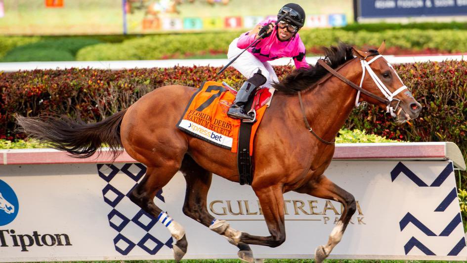 graybrigade's tweet image. #OnThisDay in 2016, #MaximumSecurity was born at the Dell Ridge Farm Lexington, KY. He’s best known for winning the 2019 @KentuckyDerby but disqualified in a controversial ruling. Maximum Security also won the FL Derby, Haskell &amp;amp; Cigar Mile. #HorseRacing 📸: Eclipse Sportswire