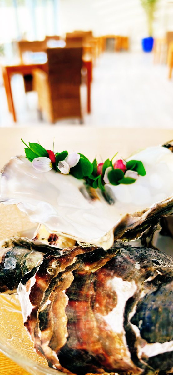 Our oyster course … Incredible oysters from @Oyster_Lady with fermented white asparagus | pickled spruce | jalapeño kosho and a chilled oyster soup served at table @isleoferiska @MichelinGuideUK @AAHospitality #tastingmenu