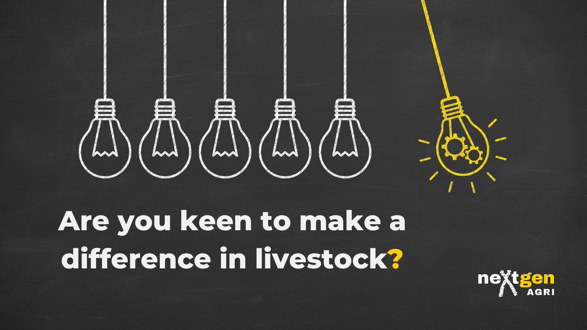 Thanks for all the retweets - just bringing this fantastic opportunity up to the top of my feed.  A job with us in WA - early career jobs don't get much better than this one for livestock enthusiasts.
thehub.nextgenagri.com/c/wa-consultan…….  
<a href="/neXtgenAgri/">neXtgen Agri Ltd</a>
#HeadShepherd