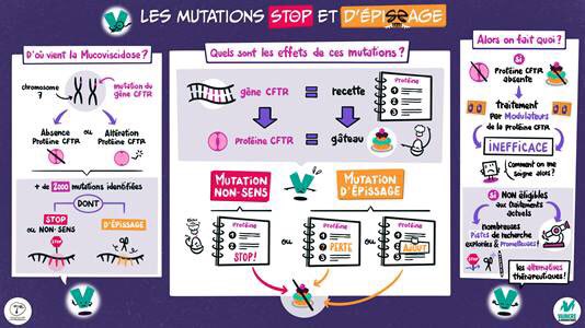 Avec la facilitation graphique d’<a href="/akenium/">Akenium 🧪💡✏</a>, <a href="/Canther_Lille/">Canther_Lille</a> explique les conséquences de certaines mutations qui font que la protéine #CFTR n’est pas produite ou n’est pas fonctionnelle. La recherche doit se poursuivre pour les patients dont les nouvelles thérapies sont inefficaces
