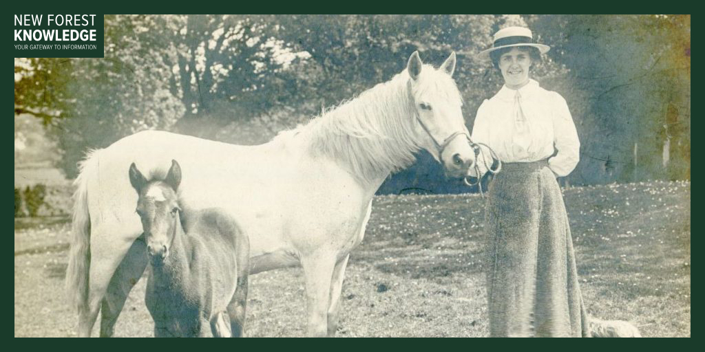 NFKnowledge's tweet photo. In a 2017 interview, Caroline Stride shares stories about her commoning family and history 🎙️

In Part 9, she discusses family and friends from Blackwater, including the Penny family.

🔎 Discover more at: https://t.co/ChCGdWNx54

#History #NewForest #Commoning #Blackwater https://t.co/kfawCTWT3d