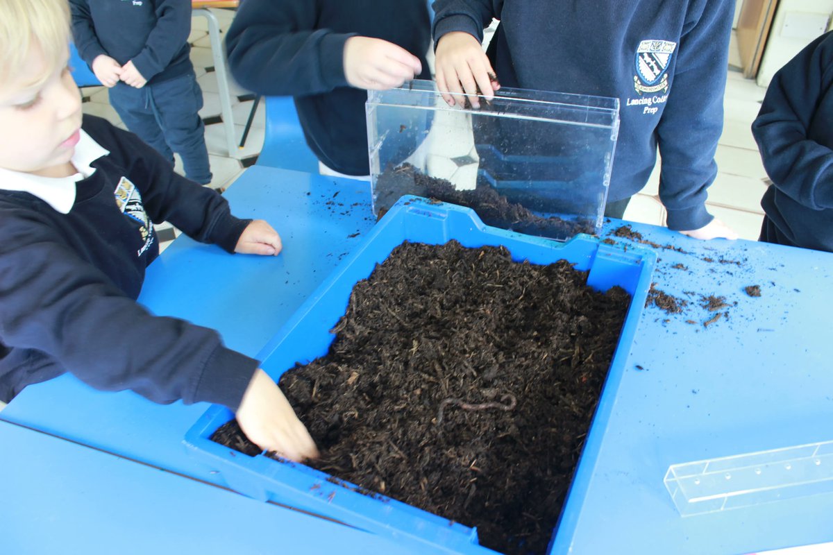 LancingPrepWthg's tweet photo. Nursery children have been busy learning about minibeasts, and today they are creating their very own wormery. #lovelearning #wormery #worms #minibeasts #nature #gettingmuddy https://t.co/xuNM4anYpc