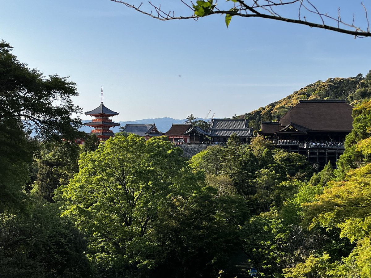 luvjp's tweet photo. Kiyomizu temple with full of green https://t.co/8QPOShgE2W